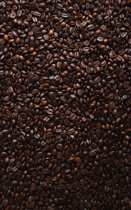 brown coffee beans lot