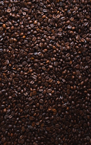 An artistic arrangement of film reels and coffee beans.