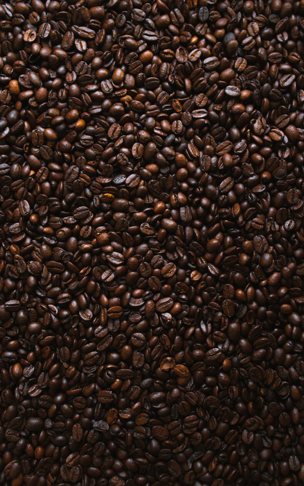 brown coffee beans lot