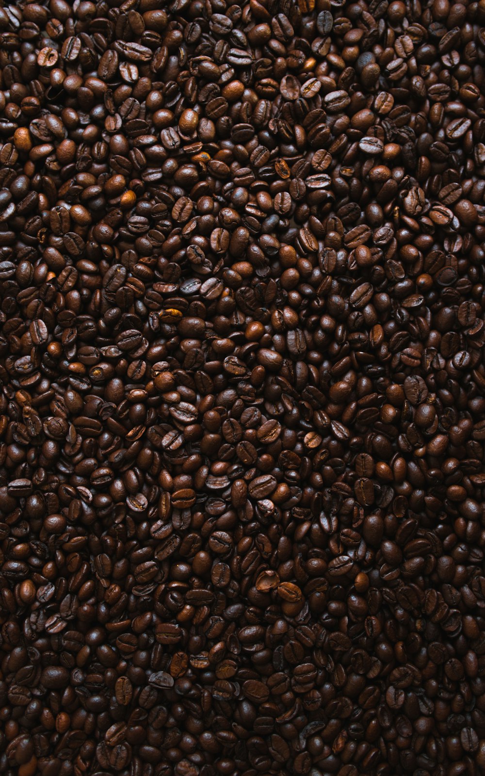 Lote de grãos de café marrom