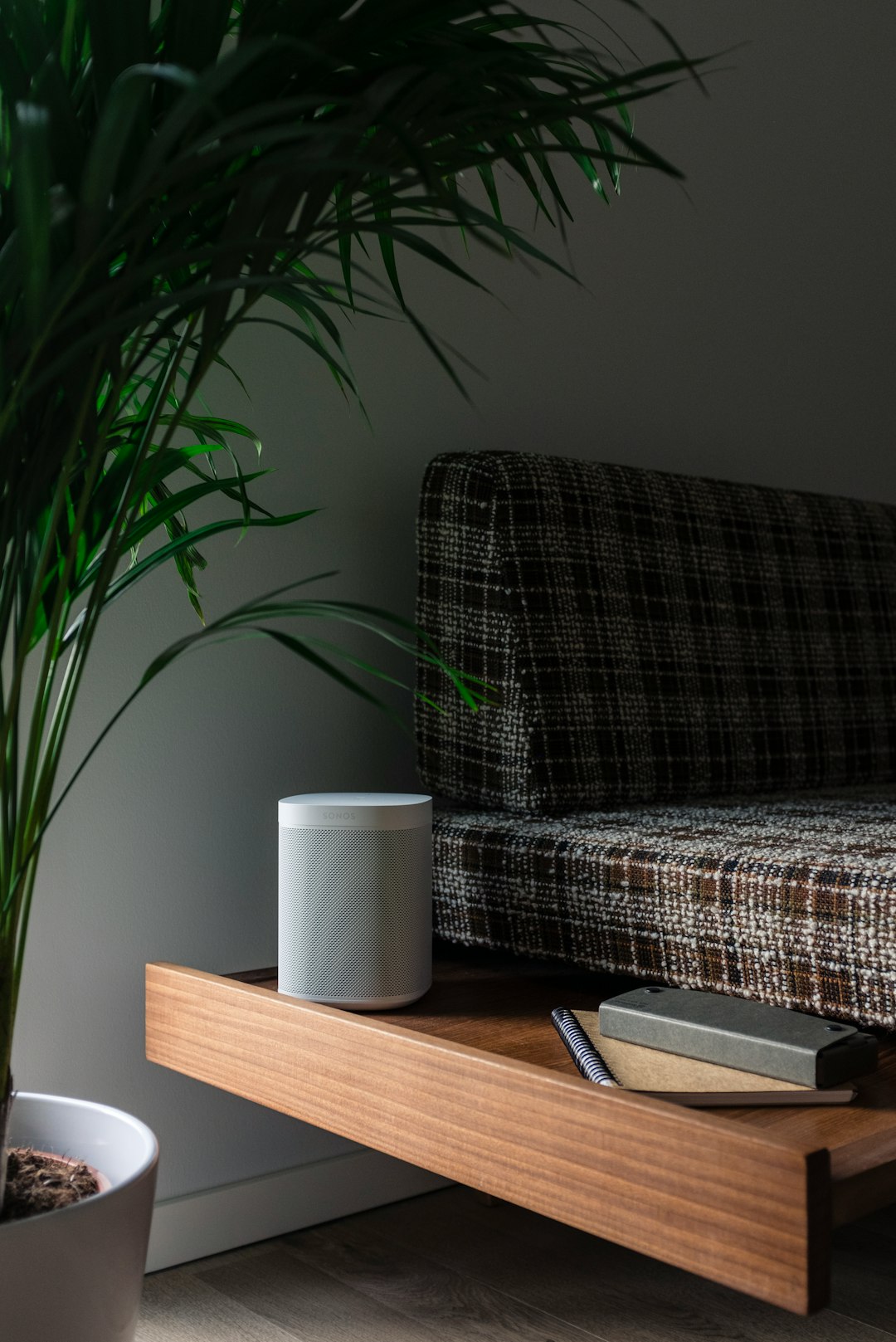 white portable speaker between bed and green palm plant