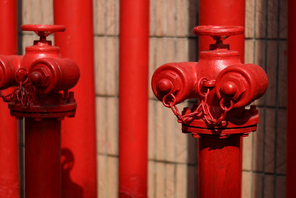 dois hidrantes vermelhos