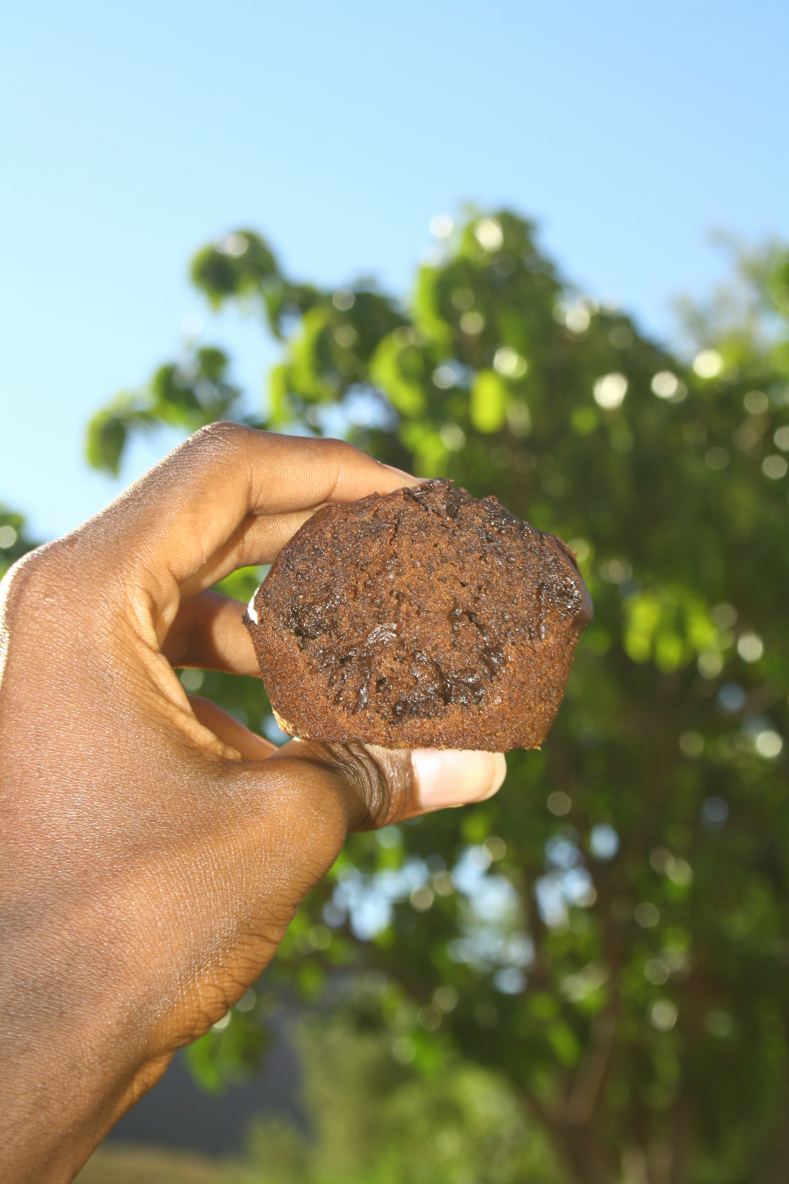 biscoito de chocolate