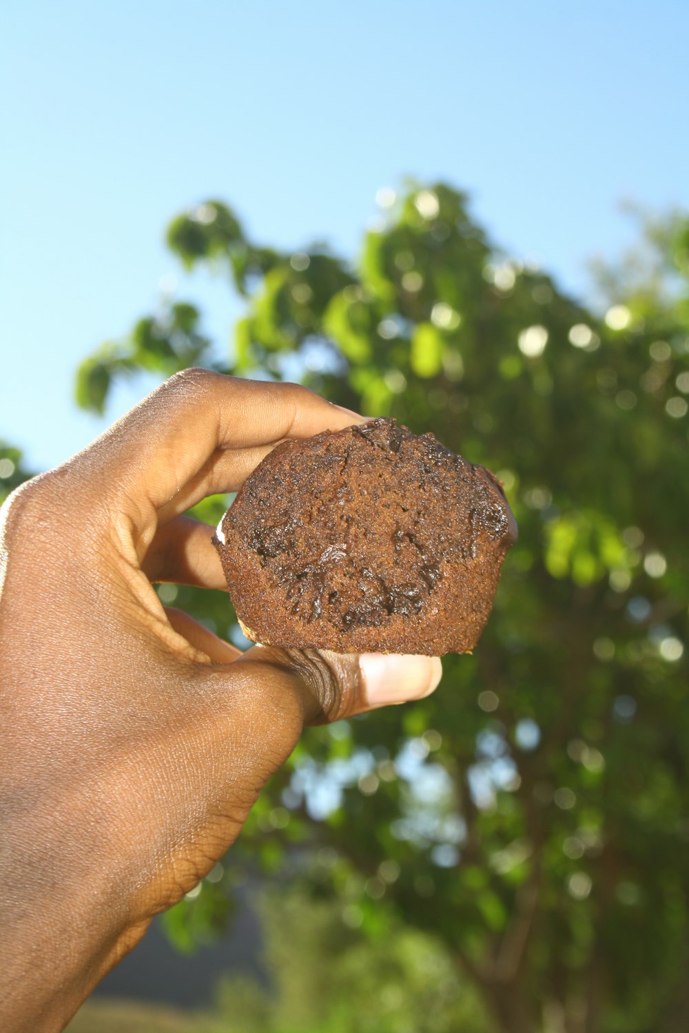 chocolate cookie