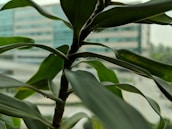Close-up of hands reviewing ESG compliance documents with a green plant in background.