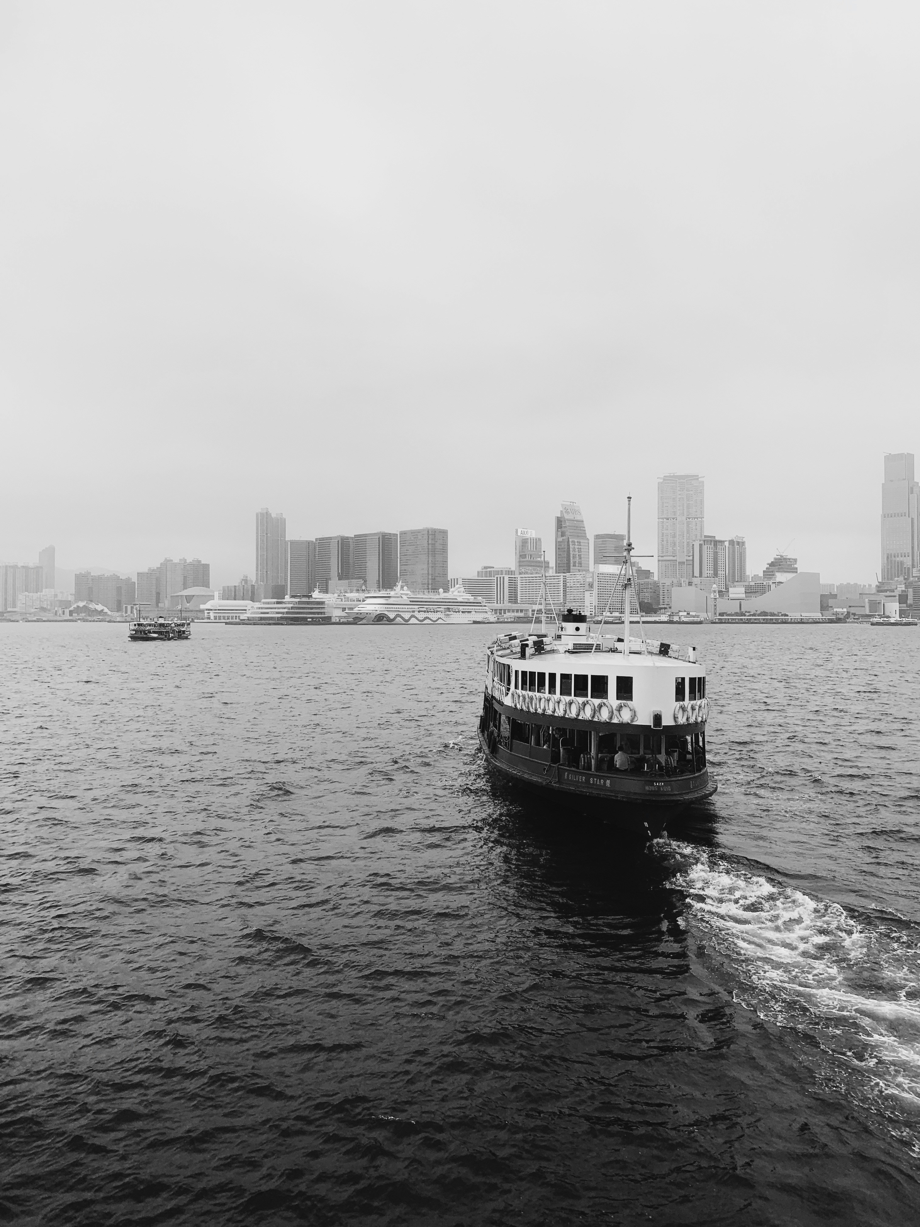 New Insights for Brain Health in MS Patients