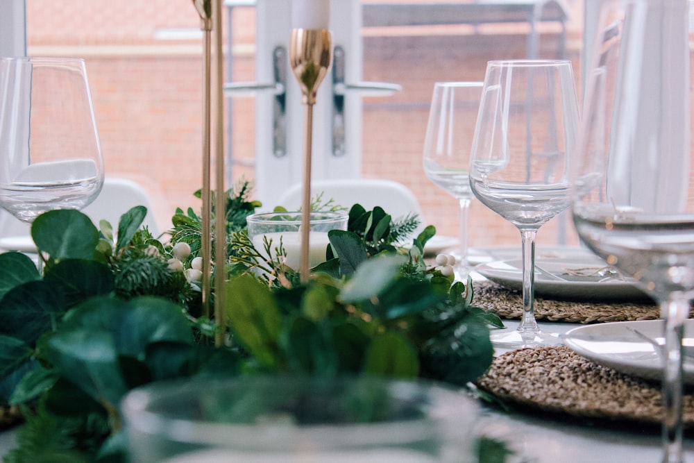 ワイングラスと緑の植物