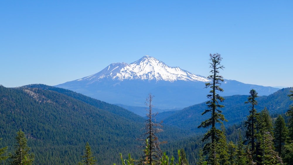 mountain covered with snow during daytime