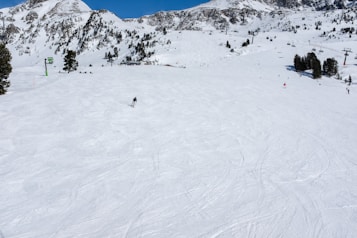 A vast snowy landscape with ski slopes, surrounded by pine trees. One skier is descending the mountain, while more skiers can be seen in the distance. Chairlifts and mountain peaks covered in snow are visible in the background.