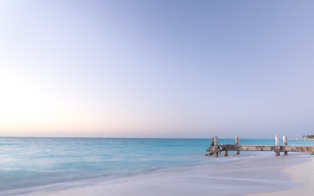 wooden dock on seashore