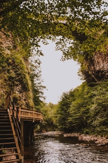 A serene, wooded landscape with a calm river flowing beneath an arched natural rock bridge. On the left, a wooden walkway with stairs provides access closer to the water. Dense green foliage surrounds the area, creating a peaceful, natural atmosphere.