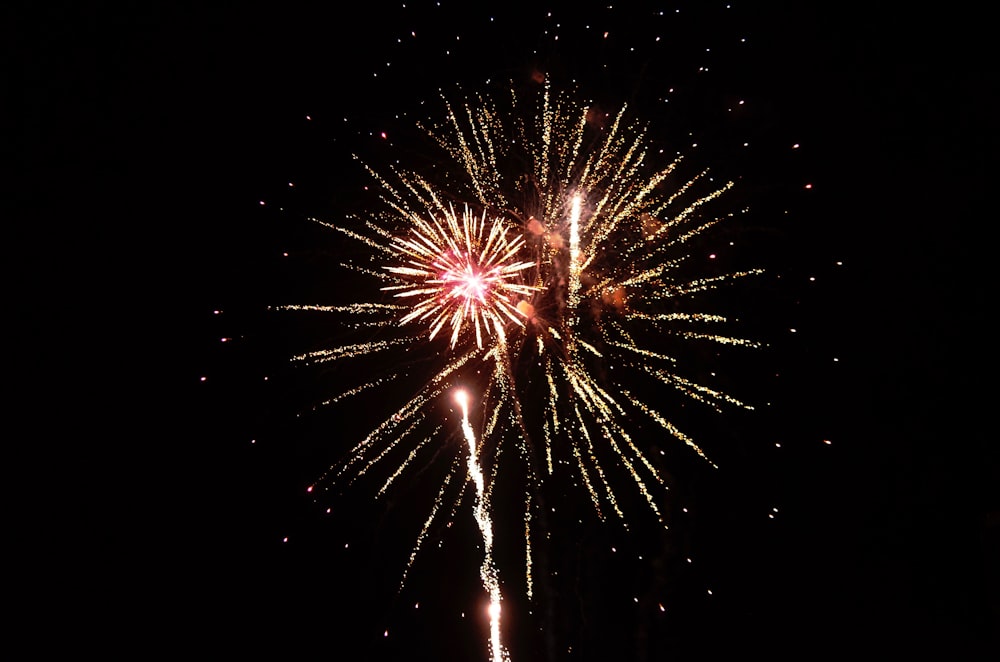 fireworks sparkling in the sky