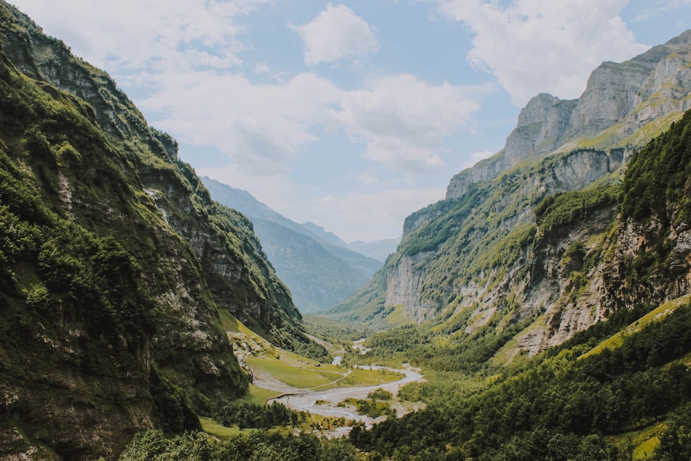 montagne avec des arbres et de l’herbe pendant la journée