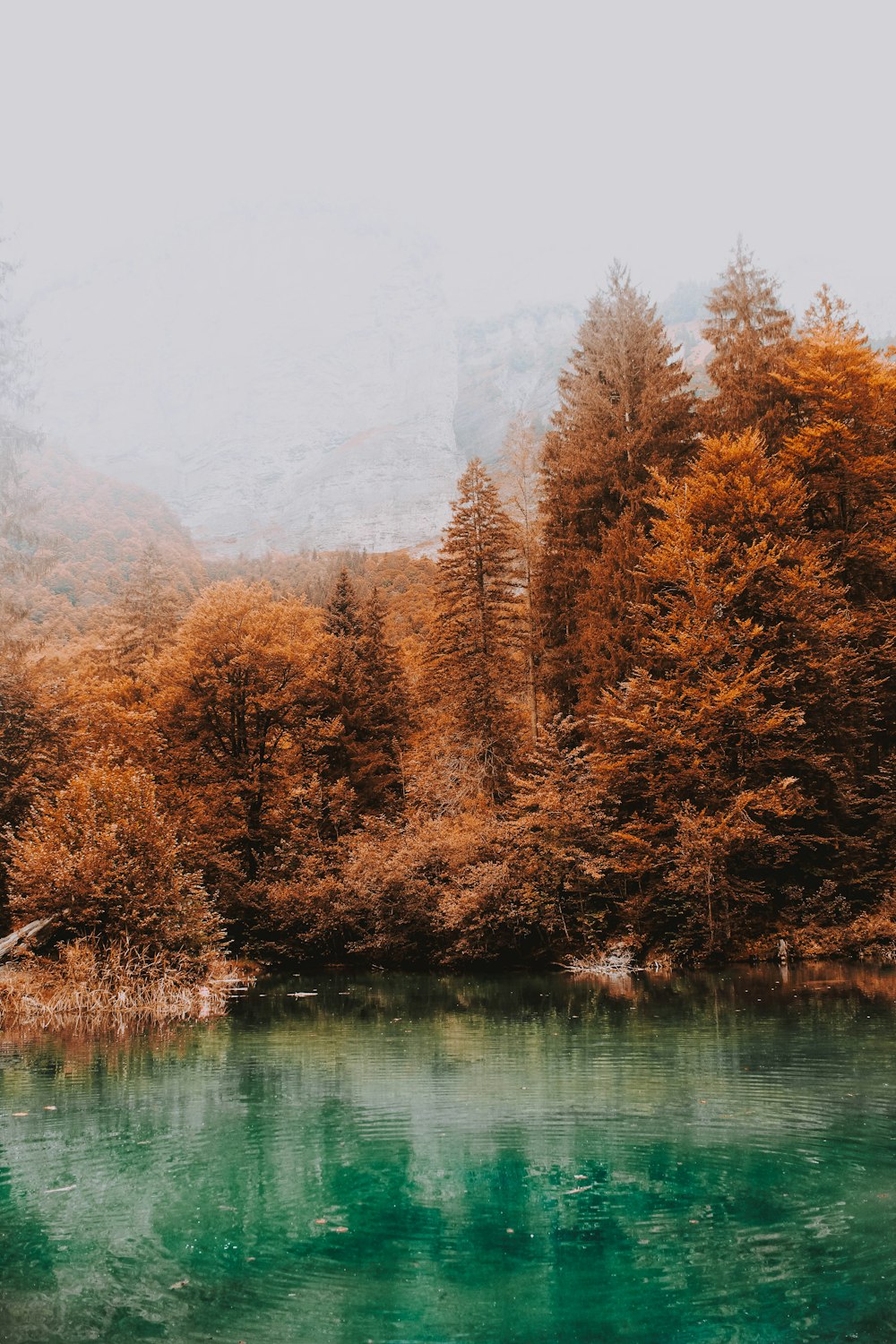 Blauer See umgeben von braunen Bäumen