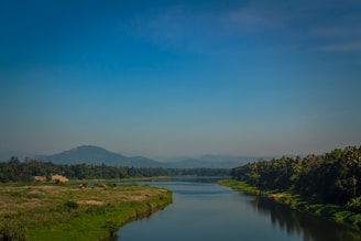 A serene landscape of a river flowing through lush greenery.