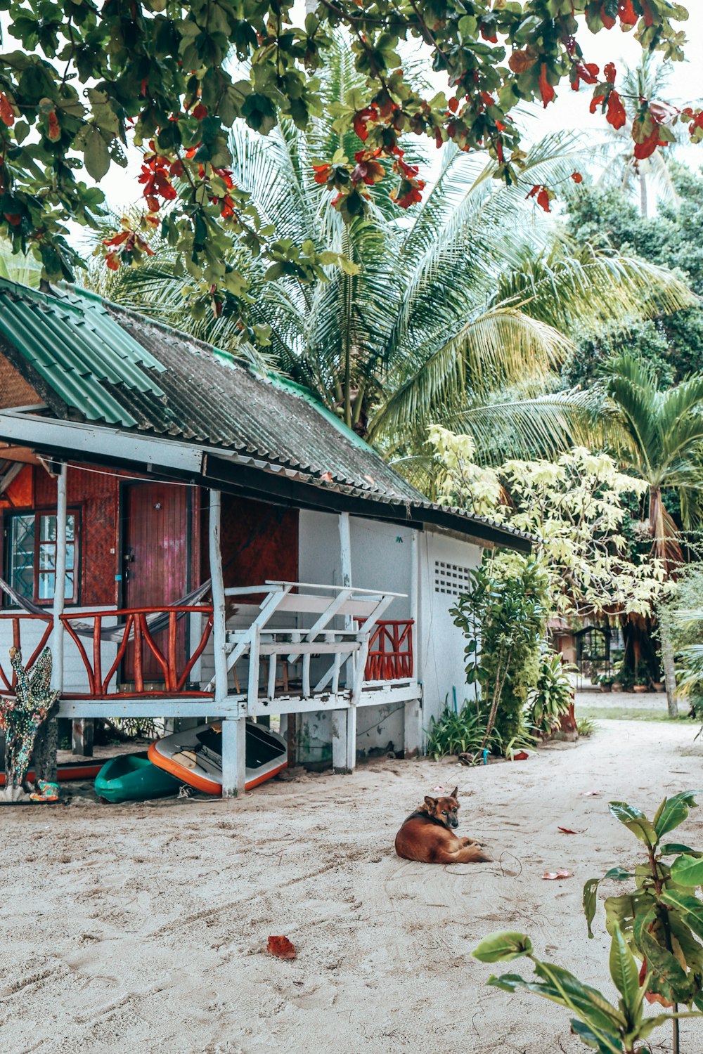 white and green house