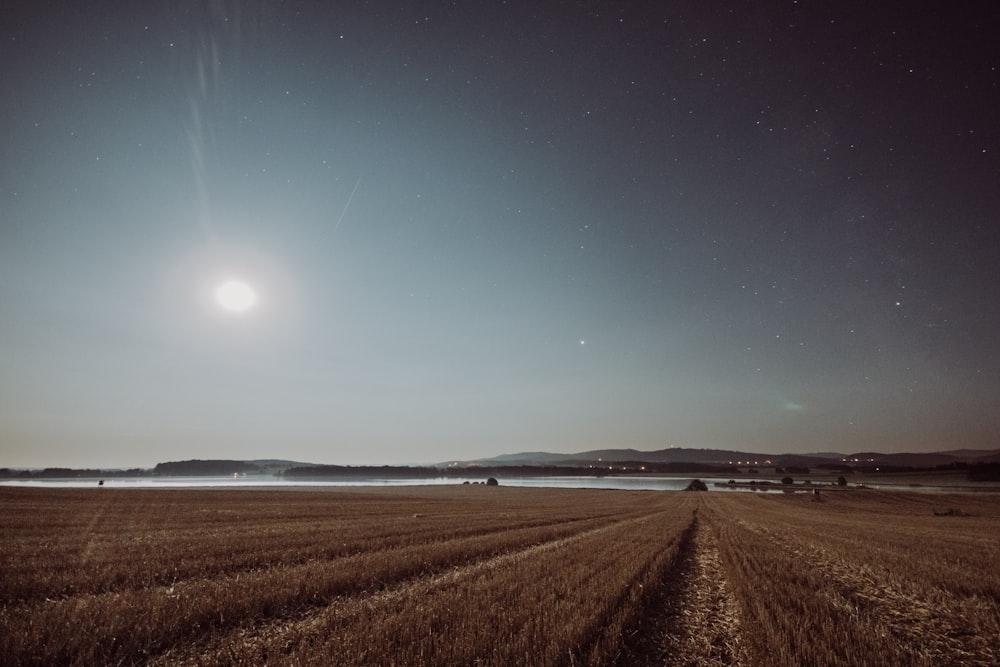 landscape photography of farm road