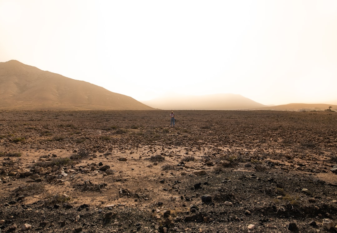 grey field during daytime