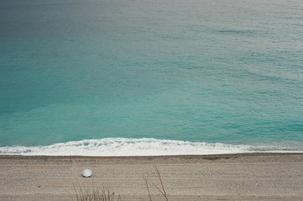 high-angle photography of blue beach