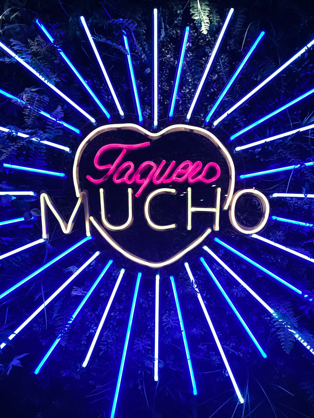 lighted Toquero Mucho signage