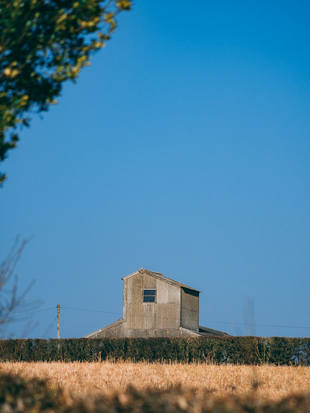 brown wooden house