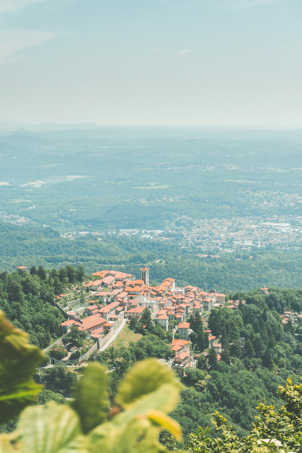 aerial photo of village surrounded by forest