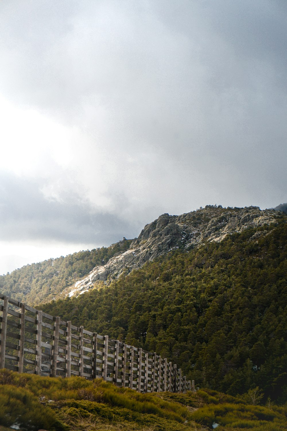 gray wooden fence during daytime