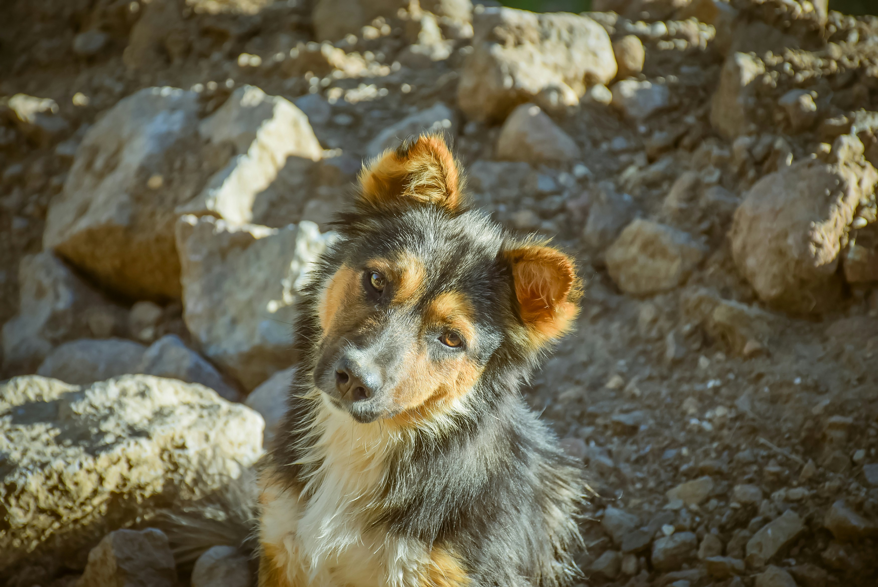 Photo by vardanharutyunyanphotography