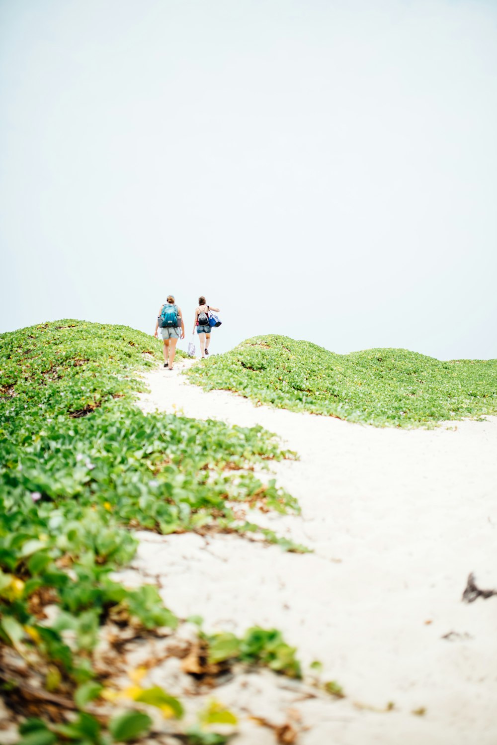 two person walking on footpath during daytime