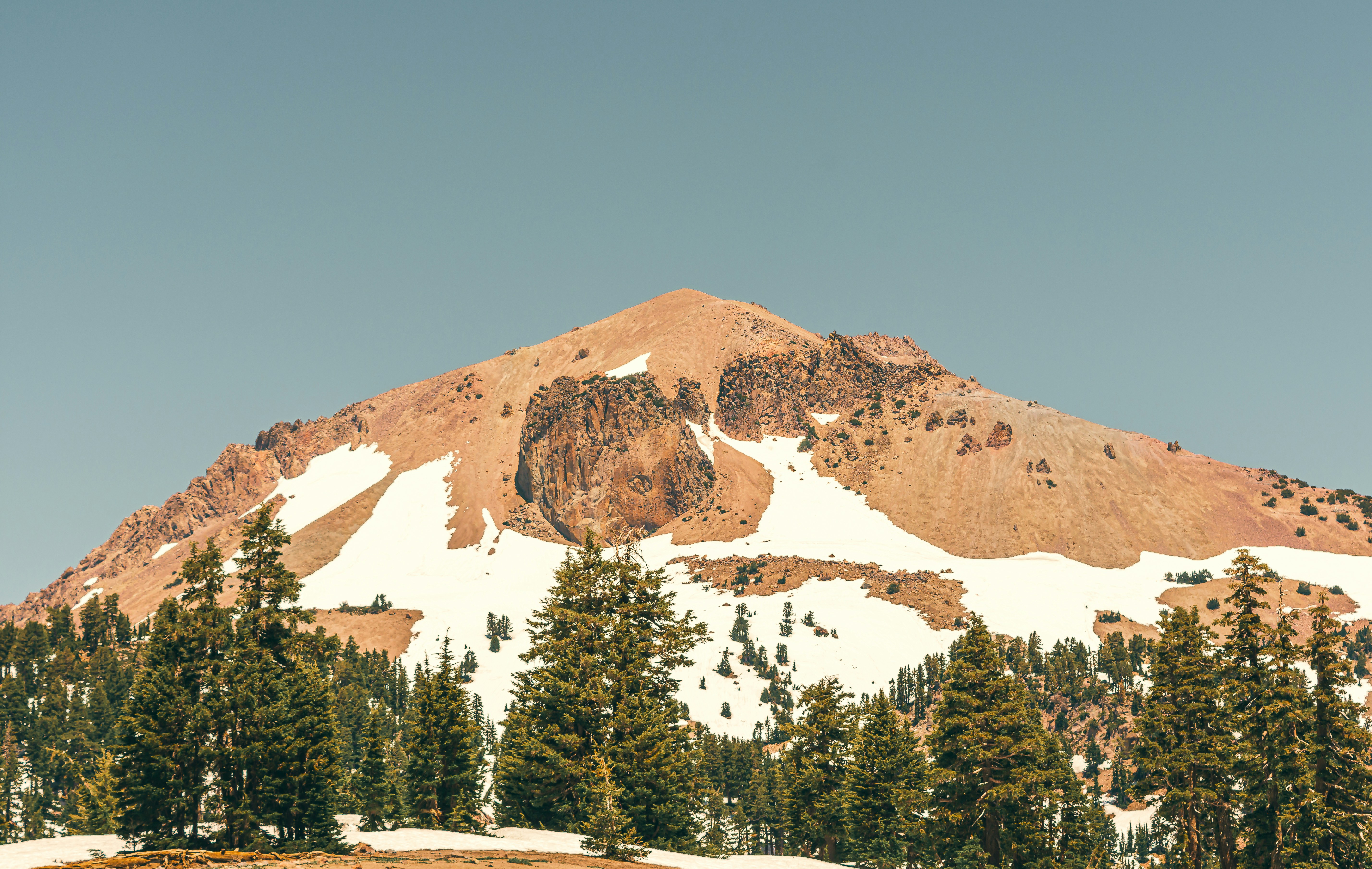 green-leafed trees with mountain background, 