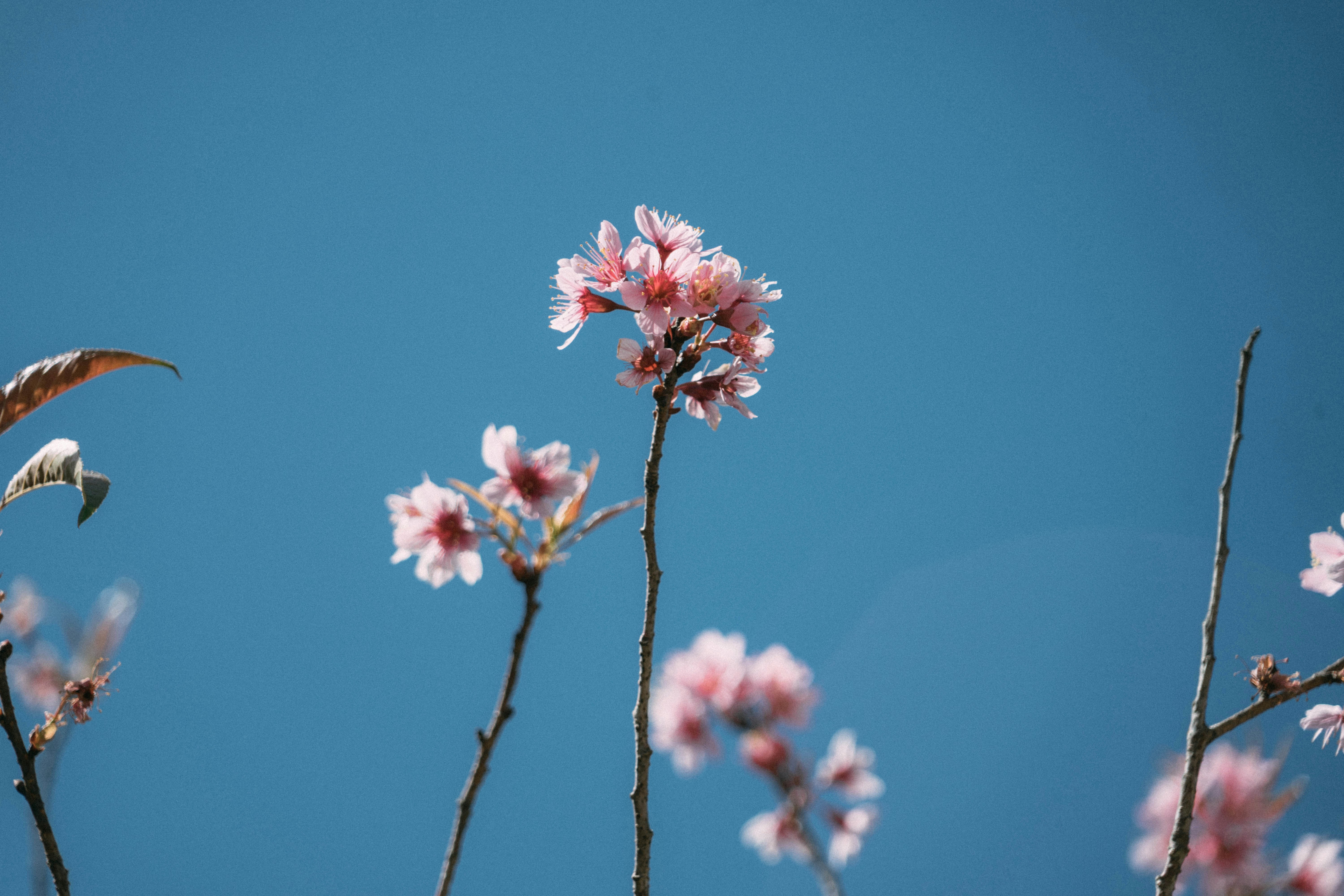 Photo by mero_dnt