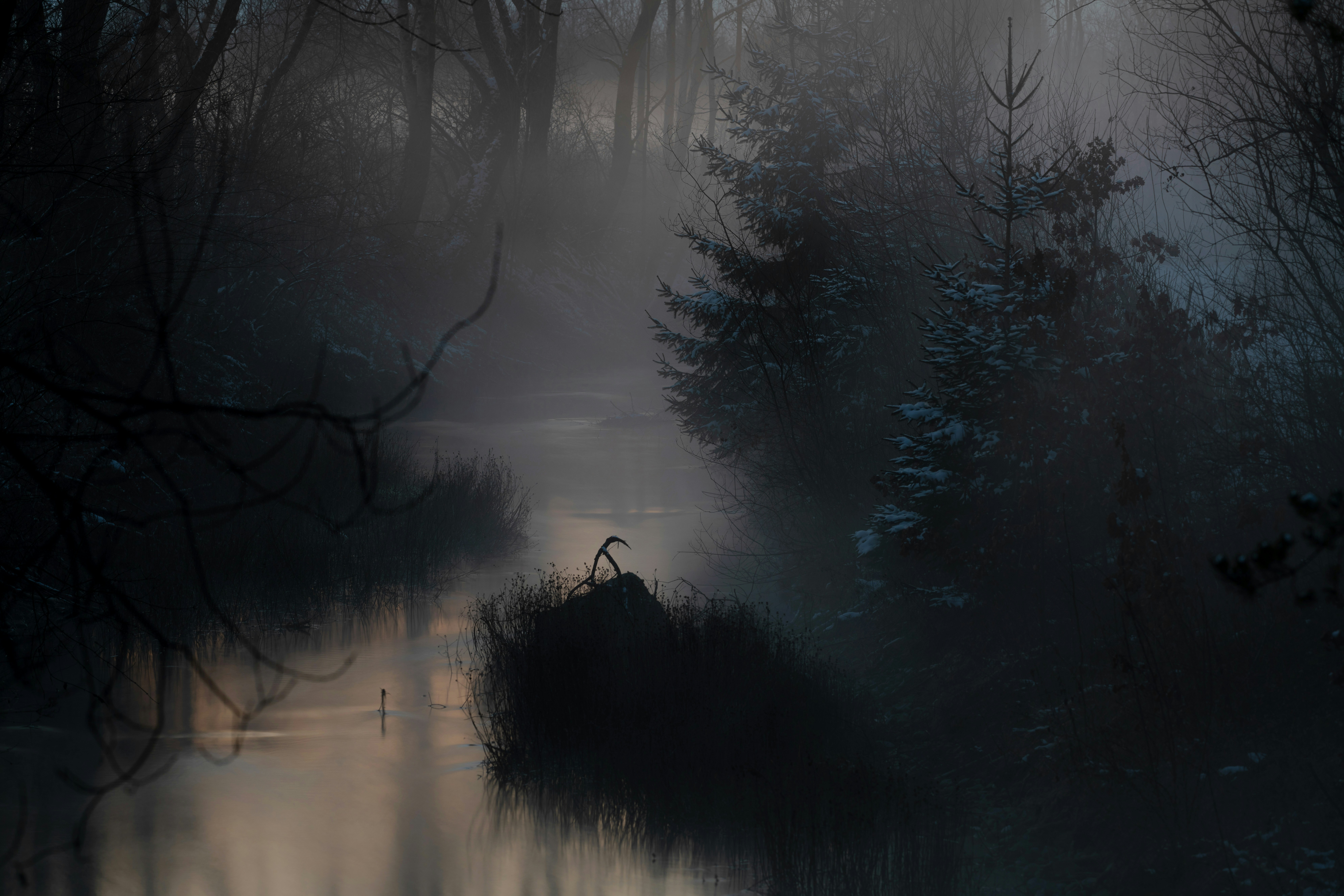 Between River and Shore: Why Fantasy Fiction Has Forgotten the World's Most Powerful Aquatic Shapeshifters