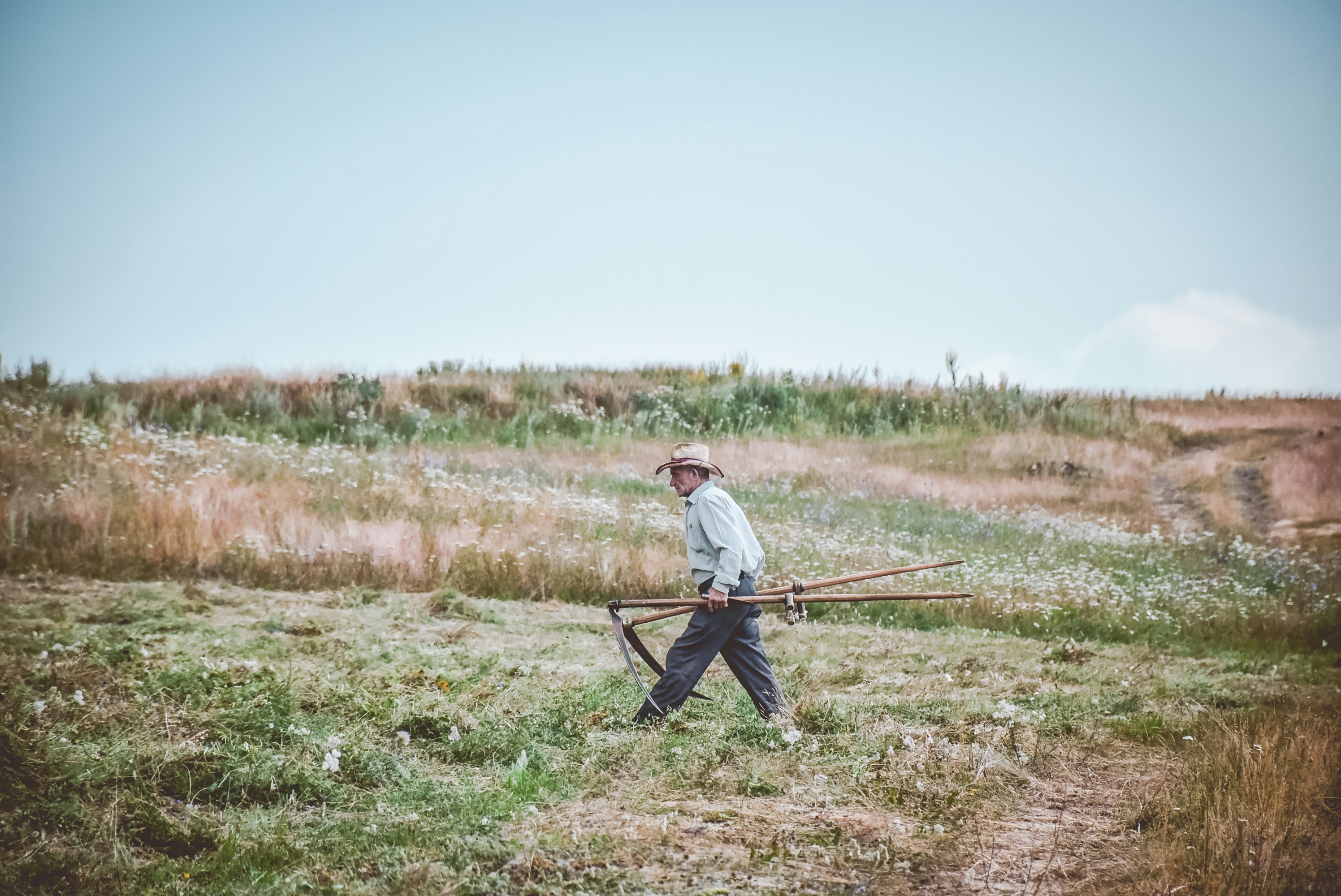 man in grey dress shirt walking on green grass field