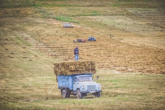 A rural landscape with a field where hay is being harvested. A blue truck loaded with hay is parked in the foreground, with a person standing on top of the haystack. In the background, another truck and a blue tractor with a hay baler work on the field. Bales of hay are scattered across the land.