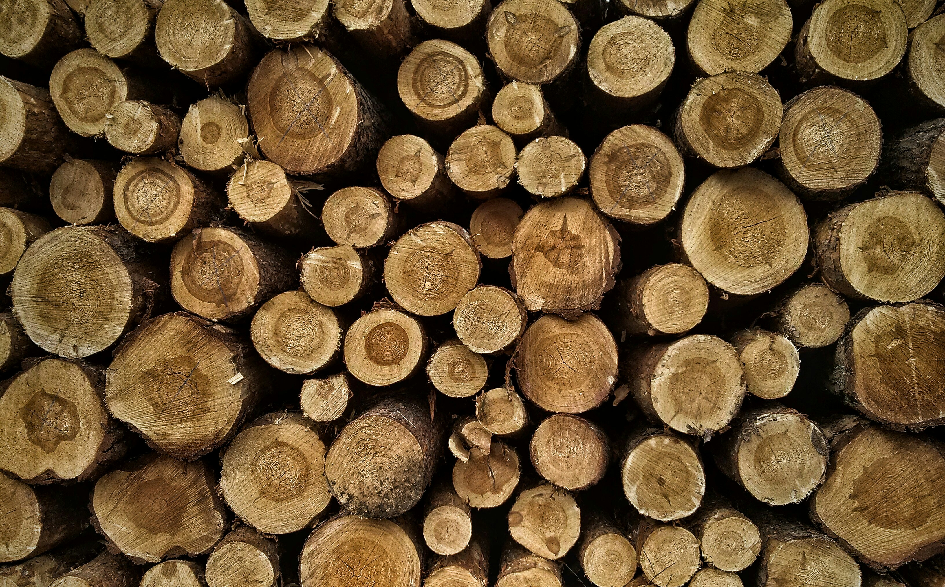 دور النزعة الاستهلاكية في تغير المناخ