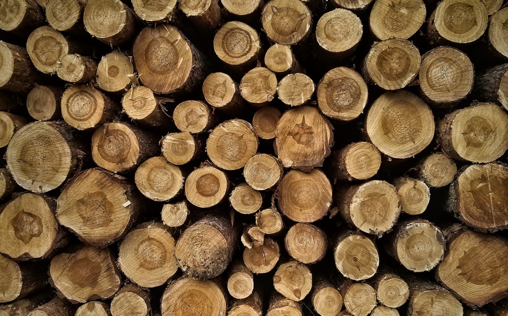 piles of brown cut logs