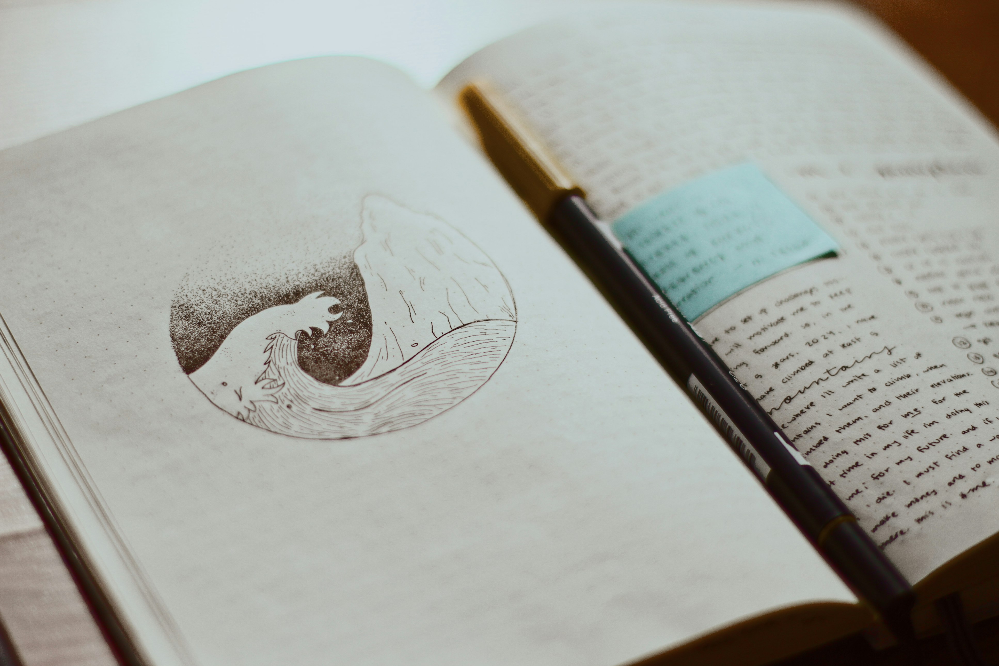 writing daily journal is good for mental health