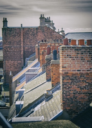 Roofs and Chimneys