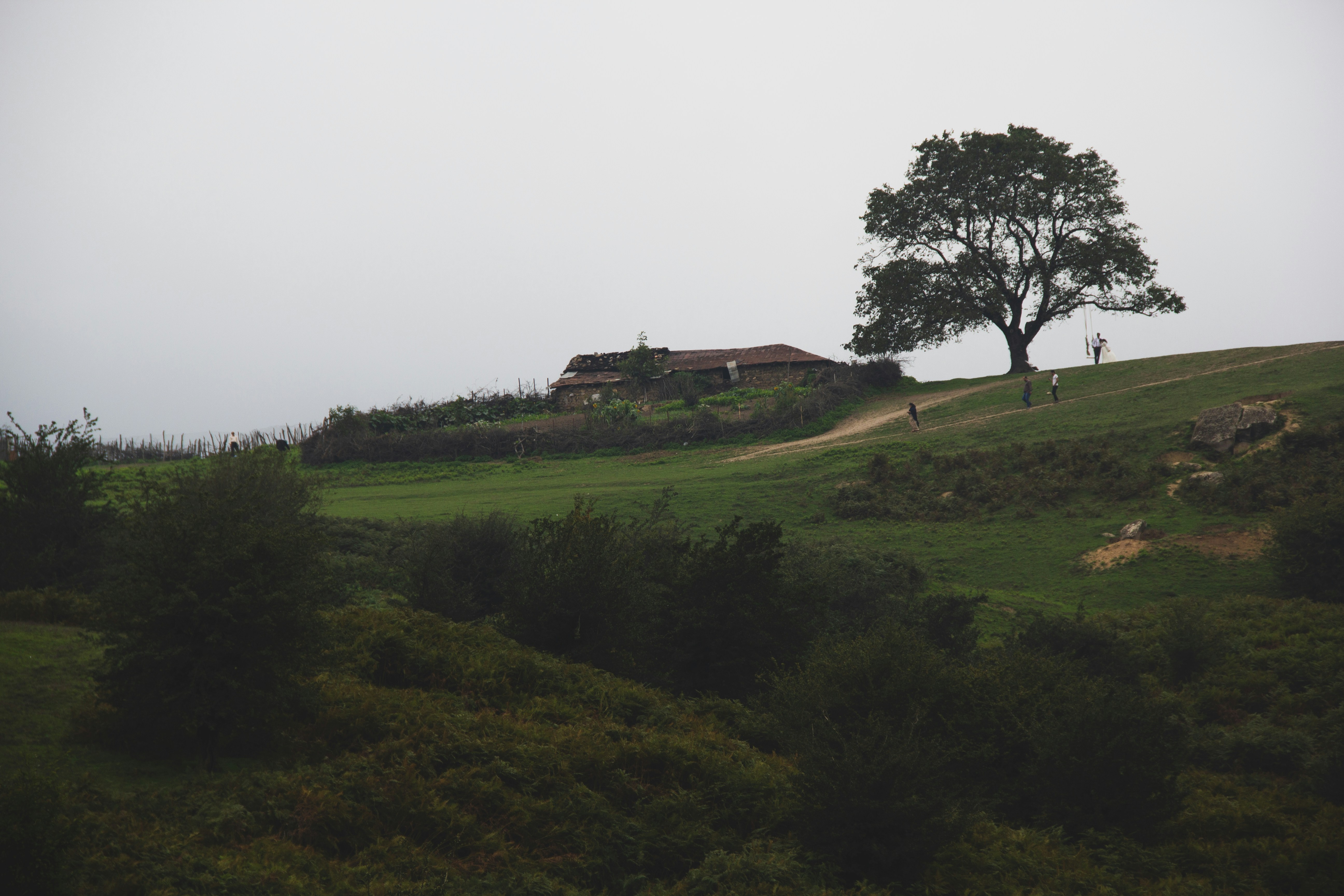 Photo by afshinwhite