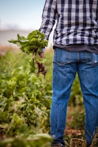 A smiling local farmer holding freshly harvested produce in a green field.
