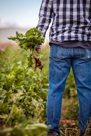 man holding beetroots during daytime