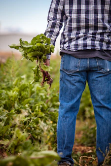 A smiling farmer holding fresh produce, standing proudly in a lush field.