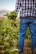 Photo of a happy farmer standing in a lush green field holding fresh produce.