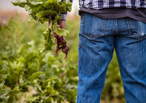 man holding beetroots during daytime