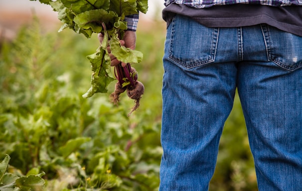 man holding beetroots during daytime