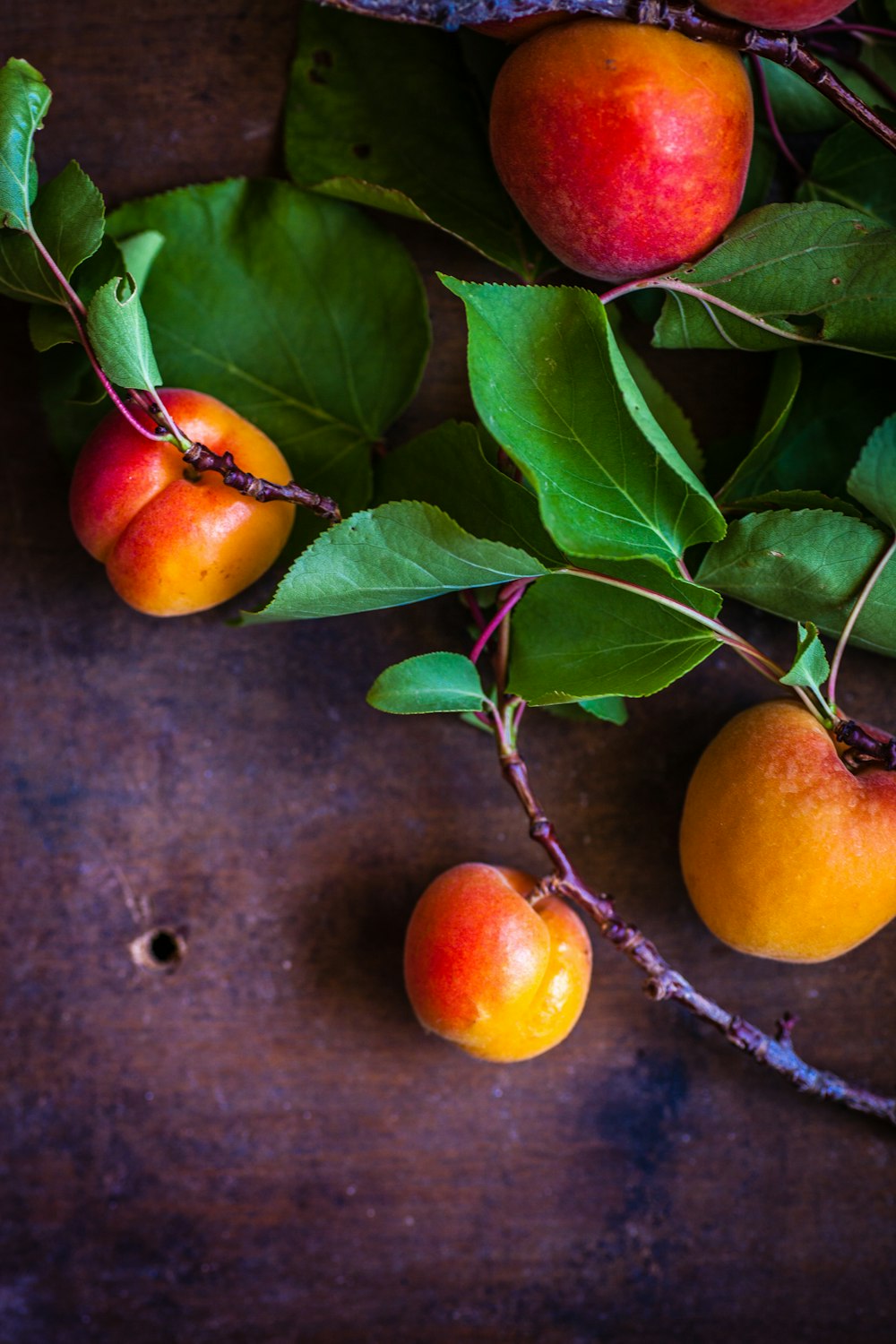 red apple fruits on brown surface