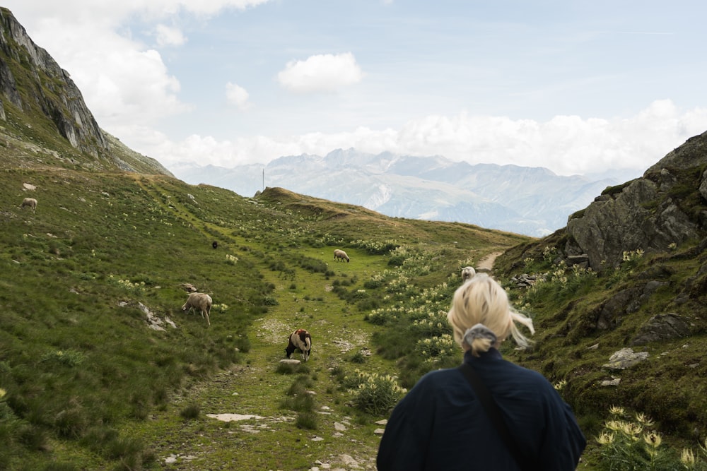 woman watching goat on green grass field