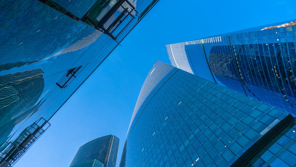 low-angle photography of curtain wall under blue sky