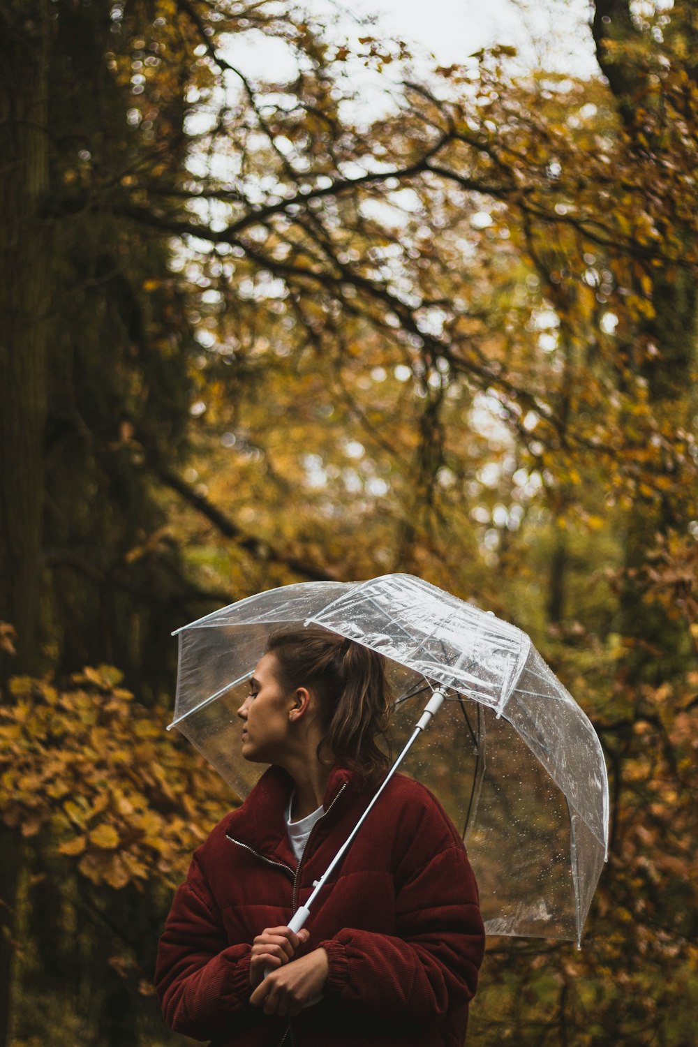 mulher segurando o guarda-chuva sob a árvore