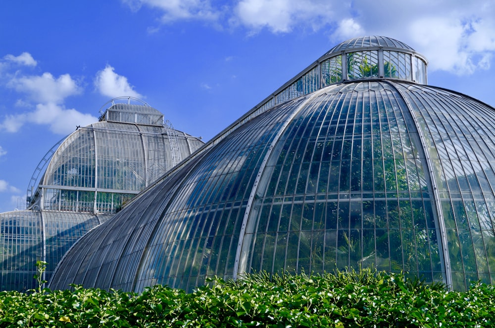 glass greenhouse